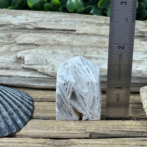 Crazy Lace Agate Towers: Gray Lines Never Looked So Good specimens