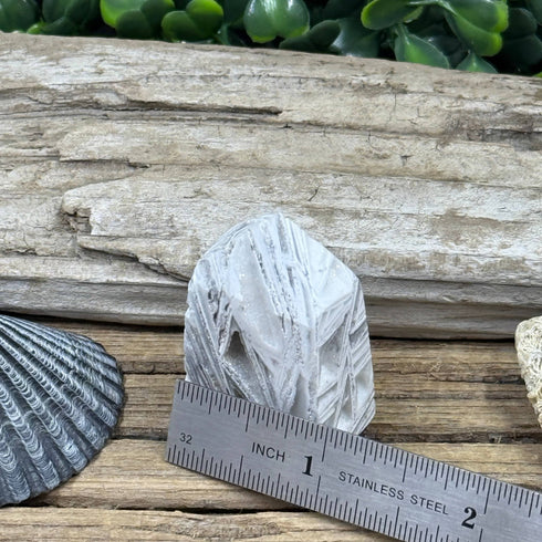 Crazy Lace Agate Towers: Gray Lines Never Looked So Good specimens