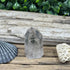 Garden Quartz Towers: Nature's Tiny Landscapes specimens