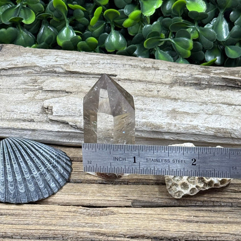 Garden Quartz Towers: Nature's Tiny Landscapes specimens