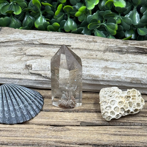 Garden Quartz Towers: Nature's Tiny Landscapes specimens