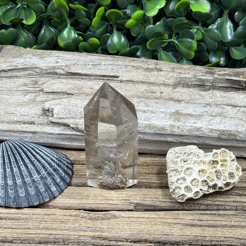 Garden Quartz Towers: Nature's Tiny Landscapes specimens