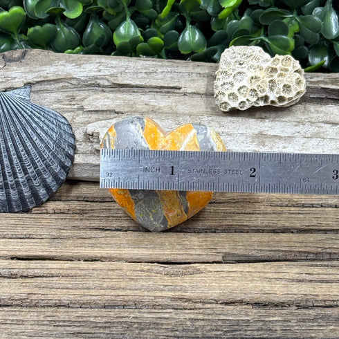 Is Your Heart Missing Some Buzz? Meet the Bumblebee Jasper Heart! specimens