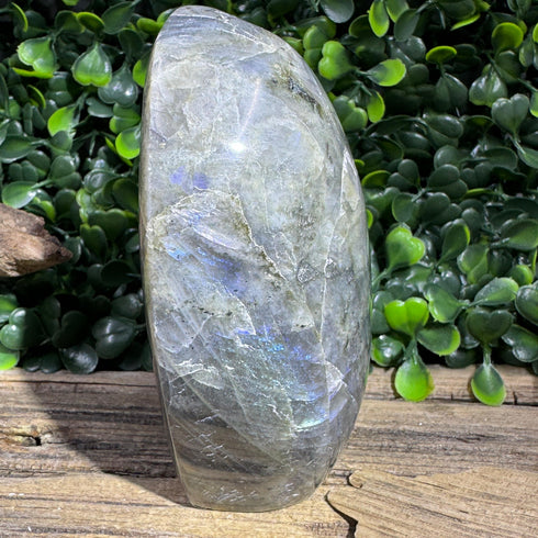 Labradorite Freeform - 3.5” Tall - Subtle Hues specimens