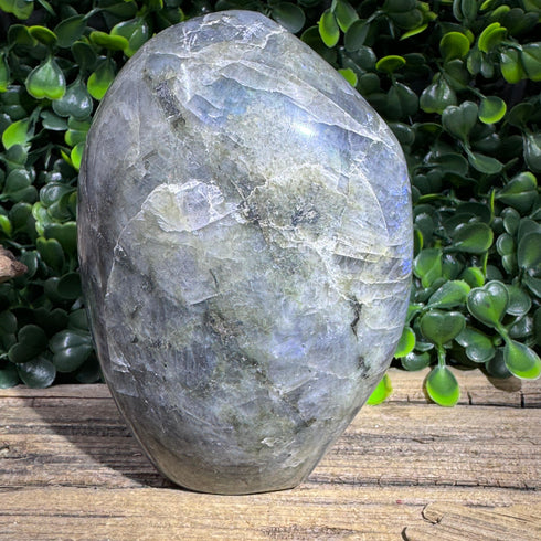 Labradorite Freeform - 3.5” Tall - Subtle Hues specimens