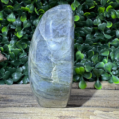 Labradorite Freeform - 3.5” Tall - Subtle Hues specimens