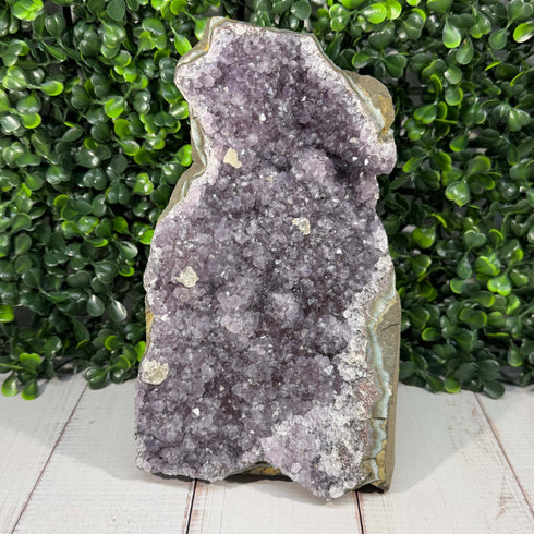 Large 7" Amethyst Crystal Geode Portal with Multiple Calcites specimens