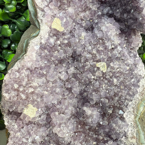 Large 7" Amethyst Crystal Geode Portal with Multiple Calcites specimens