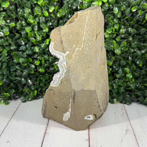 Large 7" Amethyst Crystal Geode Portal with Multiple Calcites specimens