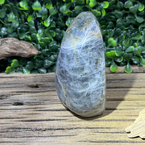 Large Labradorite Freeform - 620g with Subtle Blue and Rainbow Flashes, 3.85” Tall specimens