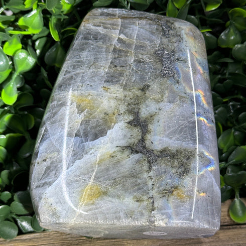 Large Labradorite Freeform - 620g with Subtle Blue and Rainbow Flashes, 3.85” Tall specimens