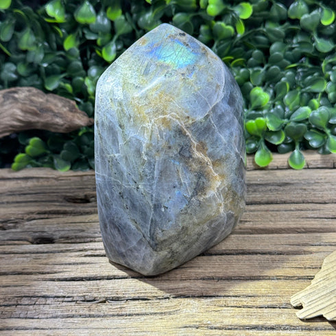 Large Labradorite Freeform - 620g with Subtle Blue and Rainbow Flashes, 3.85” Tall specimens