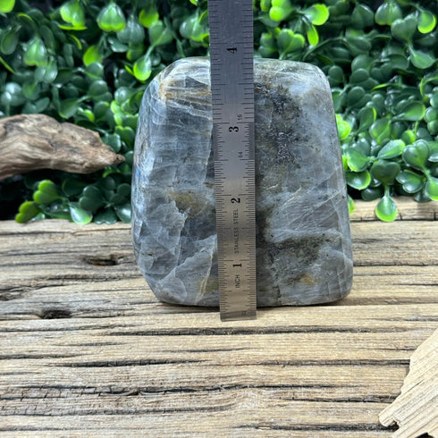 Large Labradorite Freeform - 620g with Subtle Blue and Rainbow Flashes, 3.85” Tall specimens