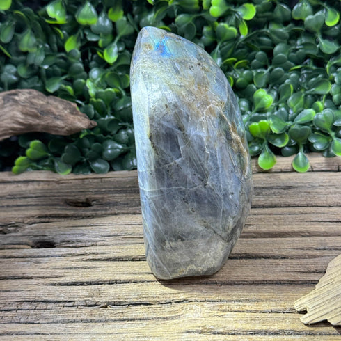 Large Labradorite Freeform - 620g with Subtle Blue and Rainbow Flashes, 3.85” Tall specimens