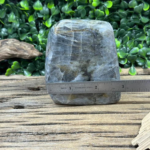 Large Labradorite Freeform - 620g with Subtle Blue and Rainbow Flashes, 3.85” Tall specimens