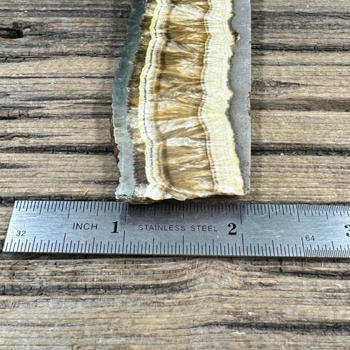 Polished Baryte and Natural Marcasite Slab from Lubin Mine, Poland - Dual-Textured Mineral Specimen specimens