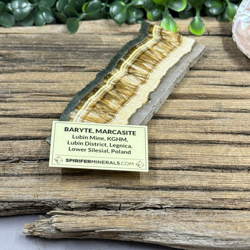 Polished Baryte and Natural Marcasite Slab from Lubin Mine, Poland - Dual-Textured Mineral Specimen specimens