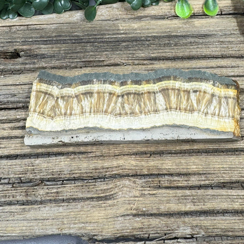 Polished Baryte and Natural Marcasite Slab from Lubin Mine, Poland - Dual-Textured Mineral Specimen specimens