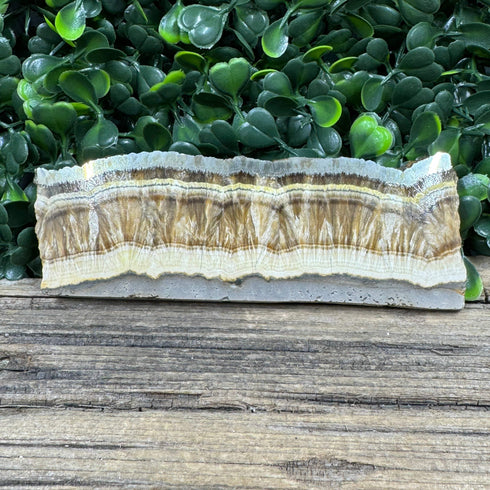 Polished Baryte and Natural Marcasite Slab from Lubin Mine, Poland - Dual-Textured Mineral Specimen specimens