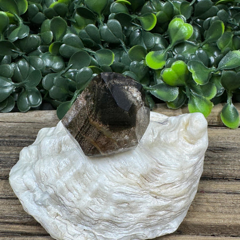 Polished Brazilian Quartz Point with Chlorite Inclusions specimens