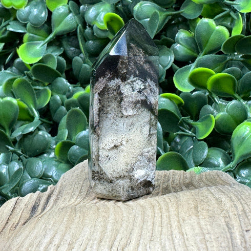 Polished Brazilian Quartz Point with Chlorite Inclusions specimens