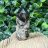 Polished Brazilian Quartz Point with Chlorite Inclusions specimens