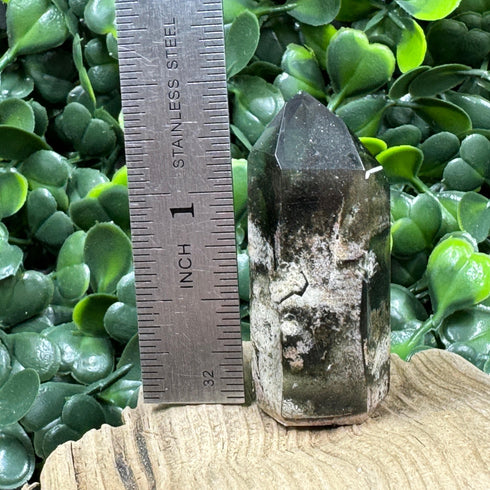 Polished Brazilian Quartz Point with Chlorite Inclusions specimens