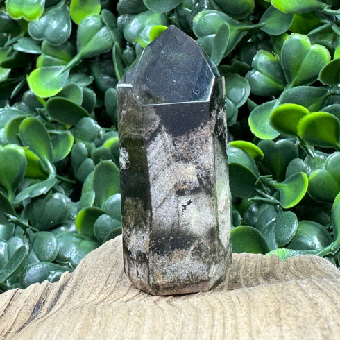 Polished Brazilian Quartz Point with Chlorite Inclusions specimens