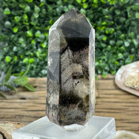 Polished Brazilian Quartz Point with Chlorite Inclusions specimens