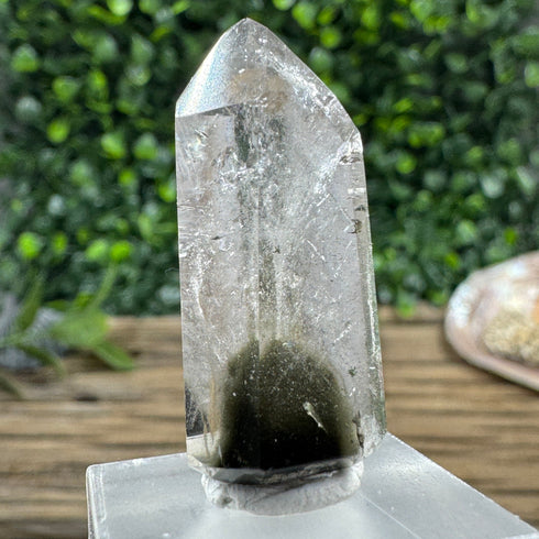 Polished Brazilian Quartz Point with Chlorite Inclusions specimens