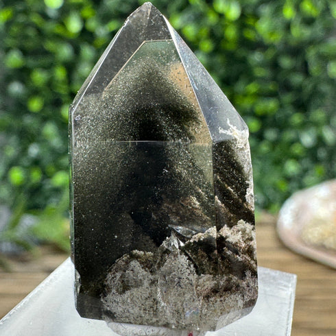 Polished Brazilian Quartz Point with Chlorite Inclusions specimens