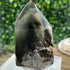 Polished Brazilian Quartz Point with Chlorite Inclusions specimens