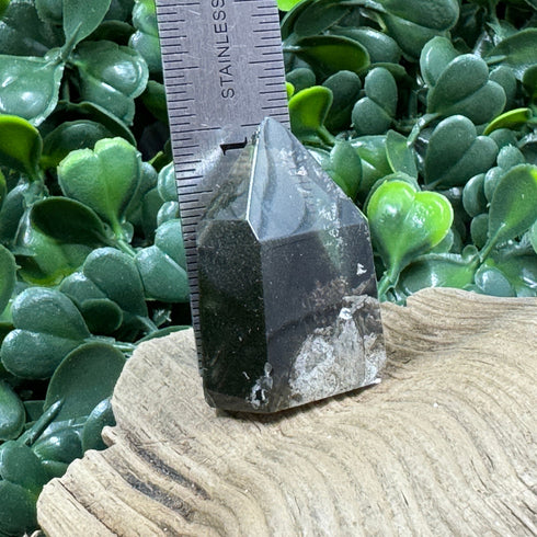Polished Brazilian Quartz Point with Chlorite Inclusions specimens