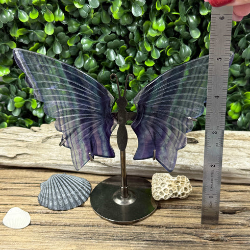 Rainbow Fluorite Butterfly Carving with Stand – Gemstone Decor specimens