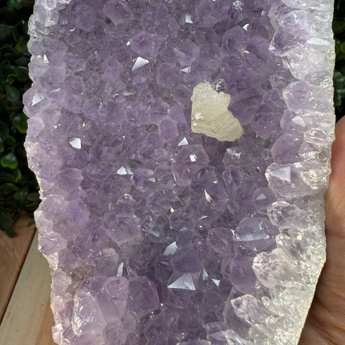 Self Standing Amethyst Geode 5” x 3” with Stunning Calcite specimens