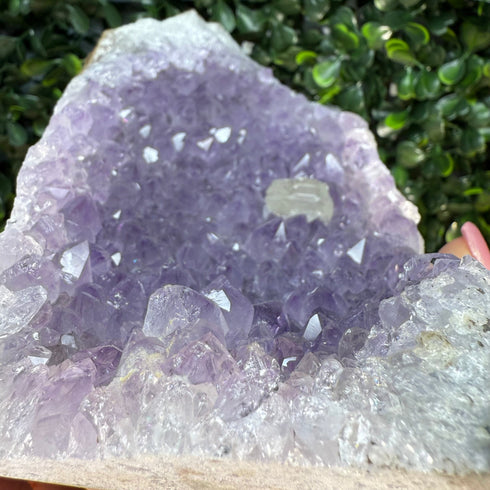 Self Standing Amethyst Geode 5” x 3” with Stunning Calcite specimens