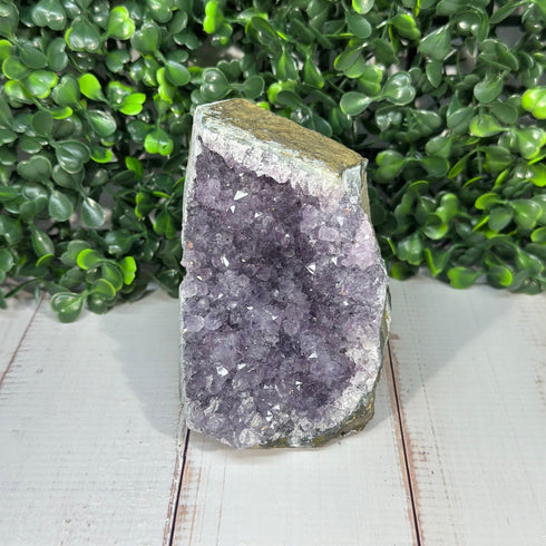 Small Amethyst Geode – Self-Standing (3.5"x 3") specimens