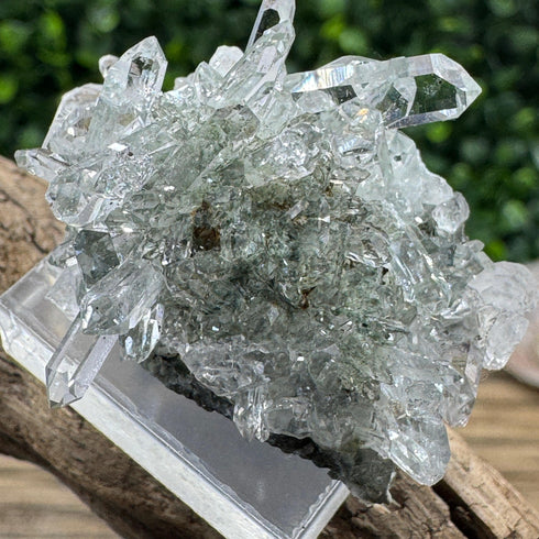 Sparkling Namibian Quartz Cluster from Streep Mine - Clear Crystal Points, 1.5" by 1" Size specimens
