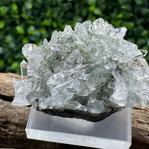Sparkling Namibian Quartz Cluster from Streep Mine - Clear Crystal Points, 1.5" by 1" Size specimens