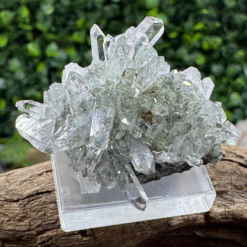 Sparkling Namibian Quartz Cluster from Streep Mine - Clear Crystal Points, 1.5" by 1" Size specimens