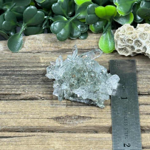 Sparkling Namibian Quartz Cluster from Streep Mine - Clear Crystal Points, 1.5" by 1" Size specimens