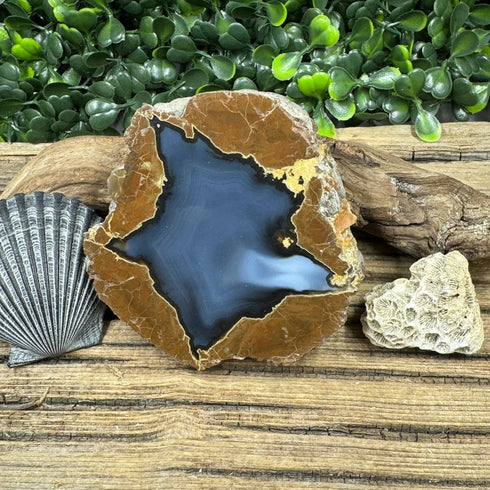 Star-Shaped Thunder Egg Geode – Polished Oregon Agate, 2.5” specimens