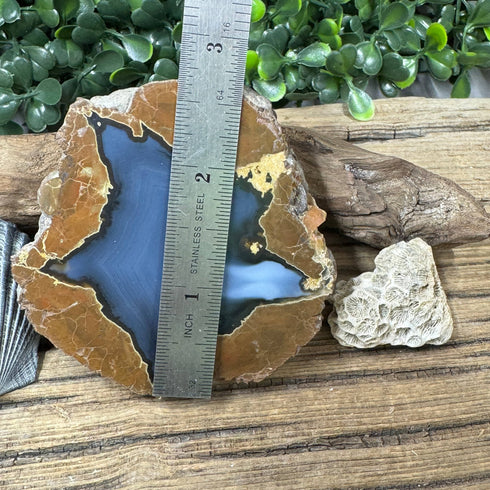 Star-Shaped Thunder Egg Geode – Polished Oregon Agate, 2.5” specimens