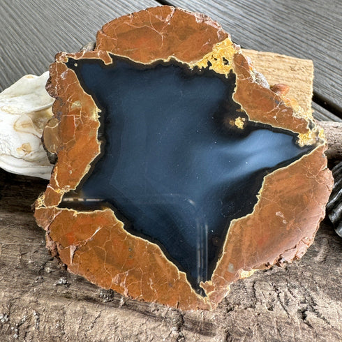 Star-Shaped Thunder Egg Geode – Polished Oregon Agate, 2.5” specimens