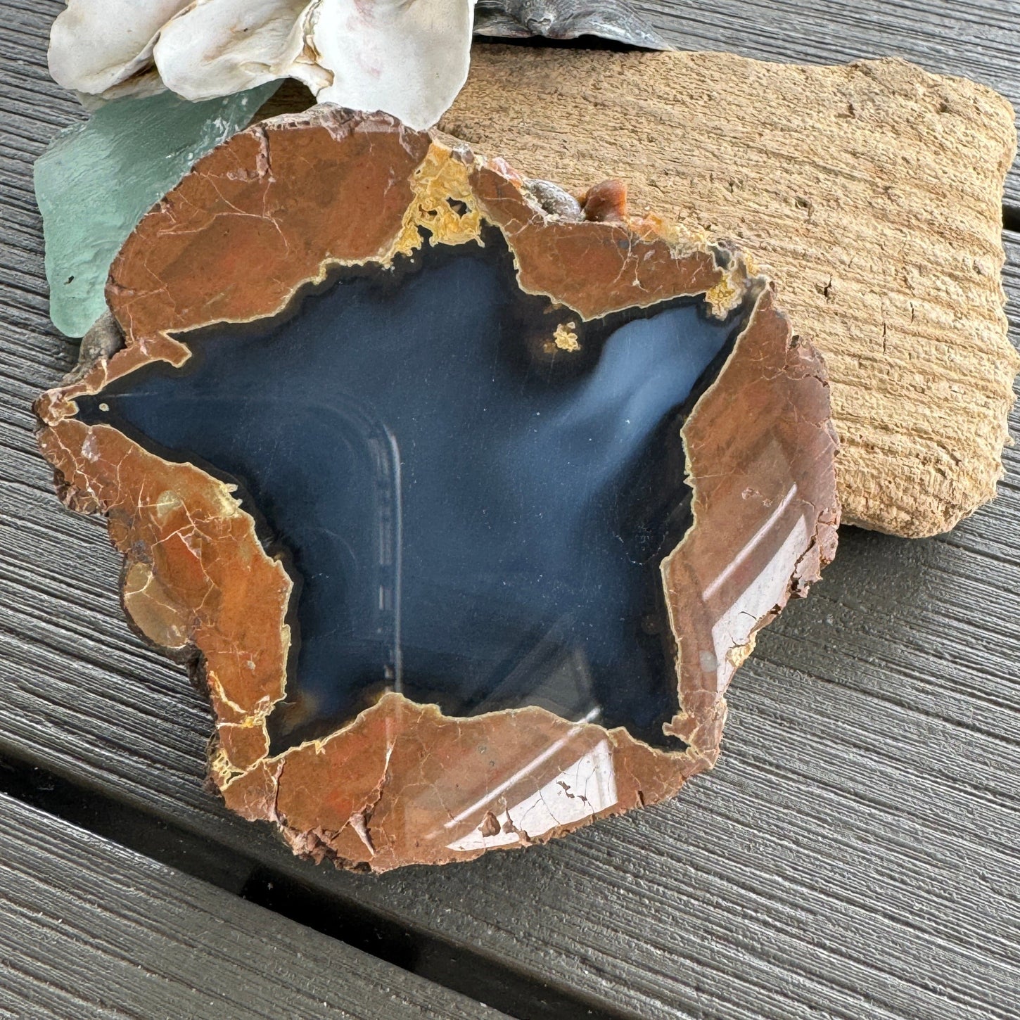Star-Shaped Thunder Egg Geode – Polished Oregon Agate, 2.5” specimens