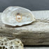 Natural Oyster Shell and Metallic Pearl Necklace Cape May Jewelry