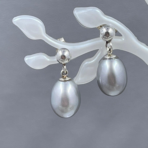 AAA Gray Freshwater Cultured Pearl Earrings Earrings
