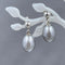AAA Gray Freshwater Cultured Pearl Earrings Earrings