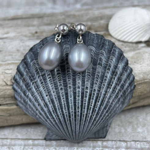 AAA Gray Freshwater Cultured Pearl Earrings Earrings