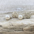 Delicate Scroll Work Freshwater Cultured Pearl Earrings Earrings